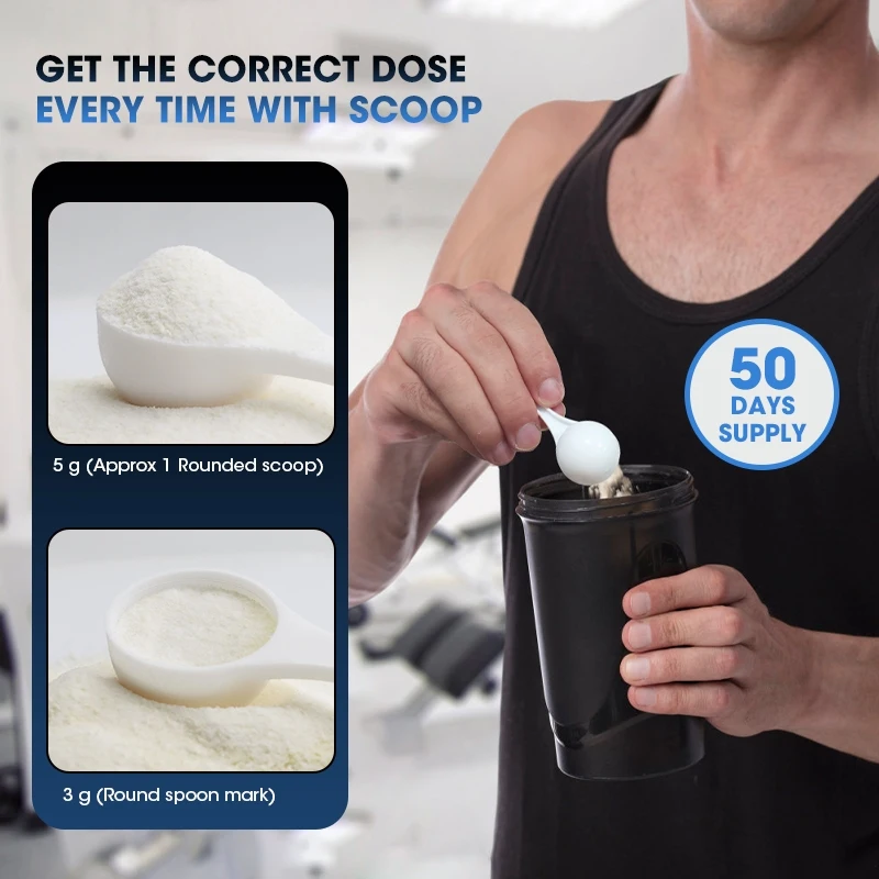 Kexinsh Creatine Monohydrate P - Creatine Monohydrate Powder recensione e prezzo