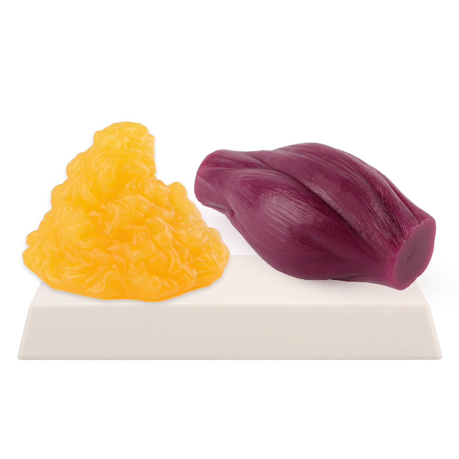 1lb Fat Replica & Muscle to Ke - The Nutrition Fitness recensione e prezzo