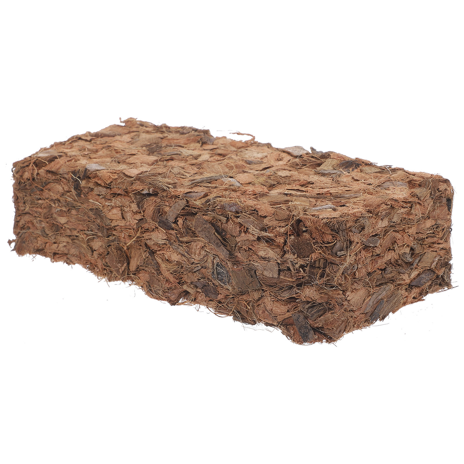 Plant Nursery Block Coconut Co - Nutrition & Fitness Station recensione e prezzo