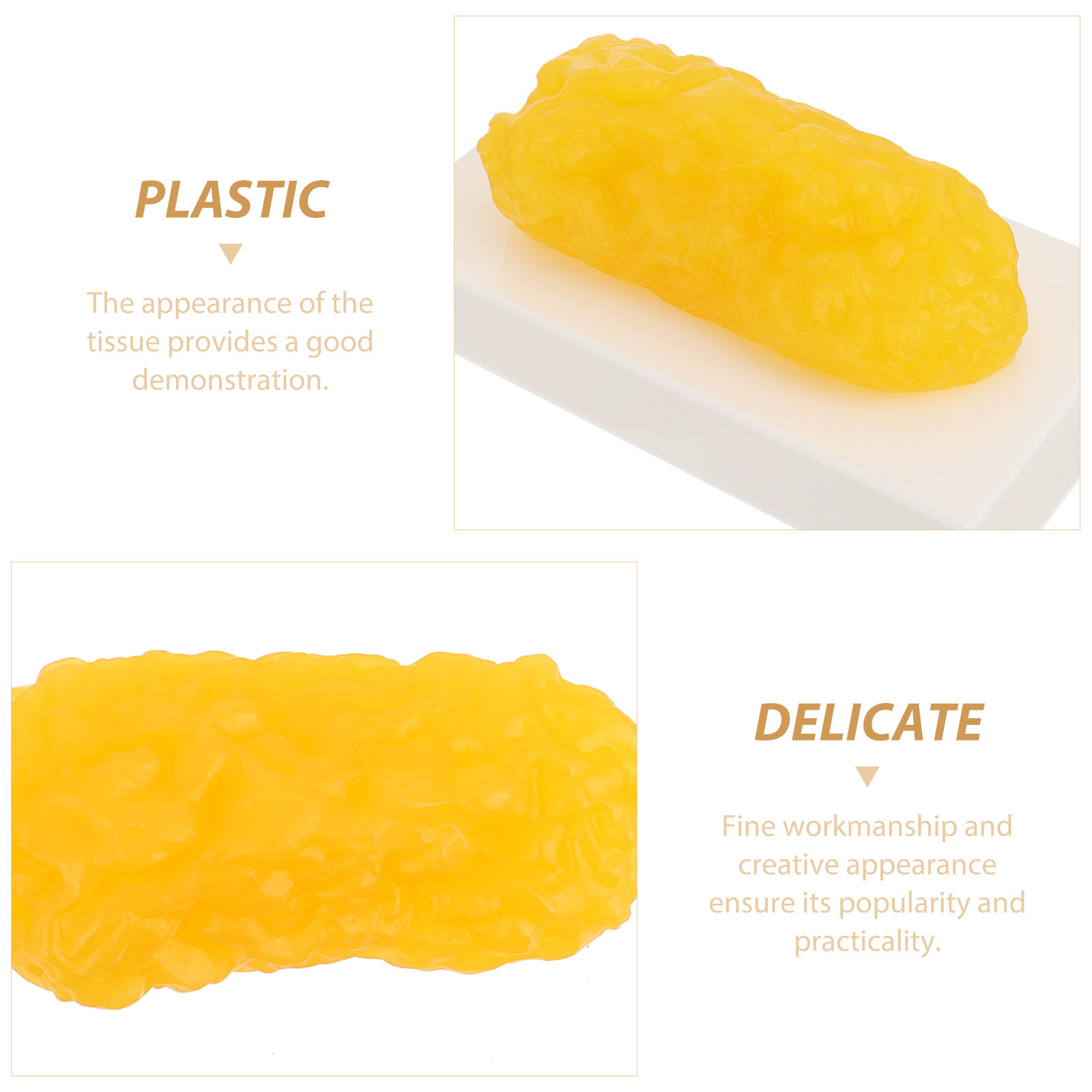 Human Body Fat Pound Plastic F - The Nutrition Fitness recensione e prezzo