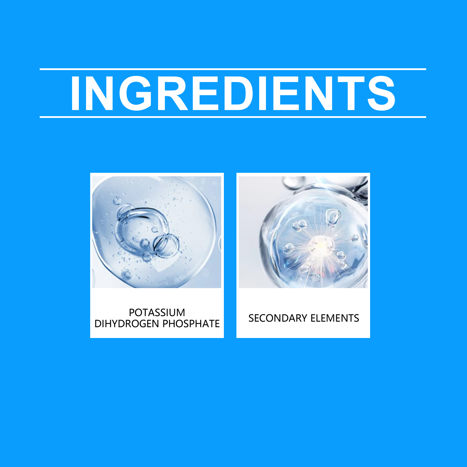 Flower Nutrient Solution Liqui - Nutrition & Fitness Station recensione e prezzo