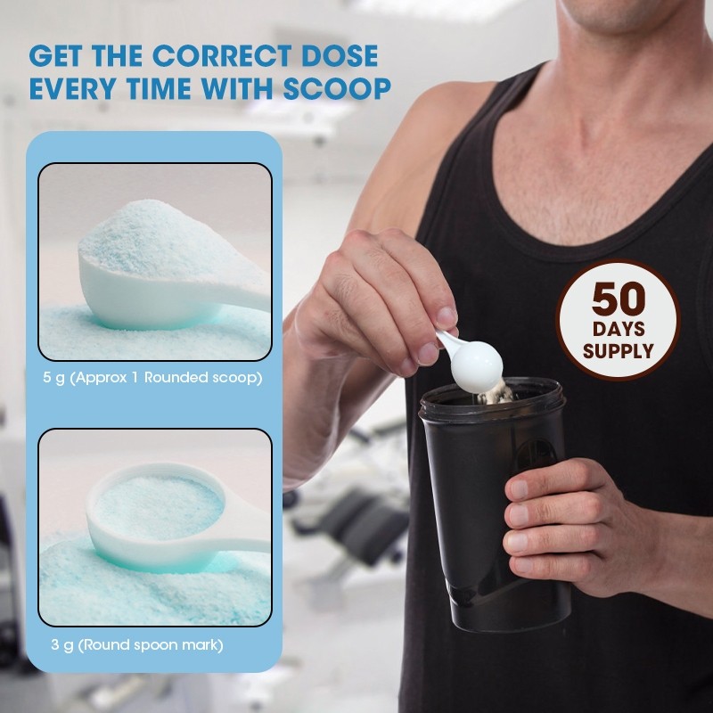 Creatine Monohydrate Powder Ce - Creatine Monohydrate Powder recensione e prezzo